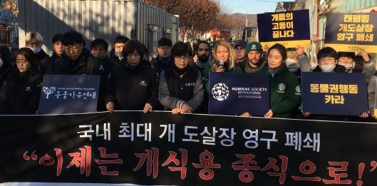 南韩政府宣布关闭狗肉屠宰场!具有历史意义时刻