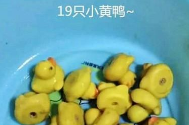狗狗不断恶心呕吐,女人赶忙送到医院,查验后女人猛然傻眼了