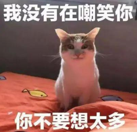 趁母猫不注意,狗狗对5只猫崽下手了