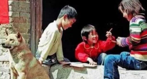 乡村儿时这类狗还记得吗?你们那里叫什么狗?