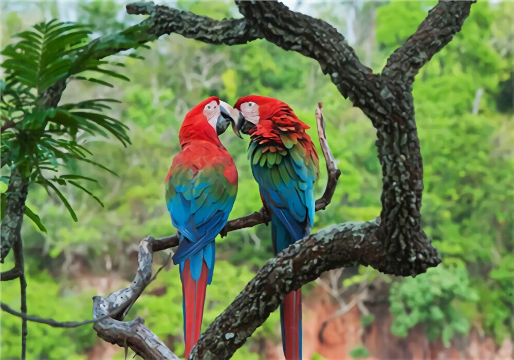 绿翅金刚鹦鹉身份信息