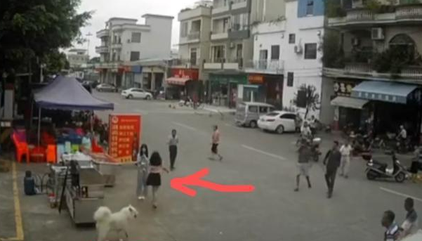 “佛山女孩遛狗拖倒老人后逃跑”事件,后续来了:老人已丧生