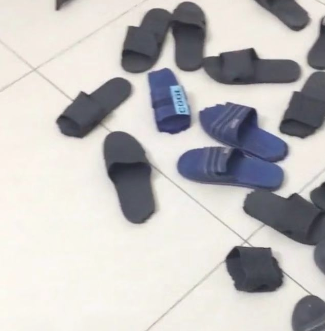 养了金毛以后,家中就没一双鞋是好的,宠主怒而罚狗!