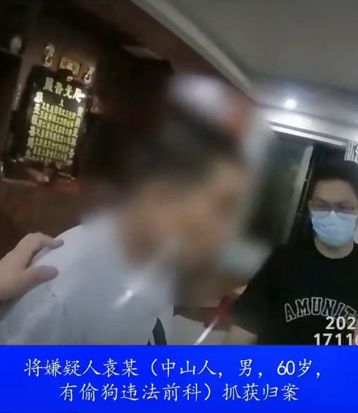 狗被喷不明液体后迅速死亡,江门公安:嫌犯被抓获,有偷狗前科