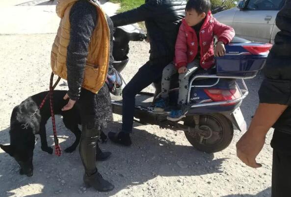 一家人带着黑狼犬来狗市卖, 与商贩都谈妥了! 可“小主人”不答应