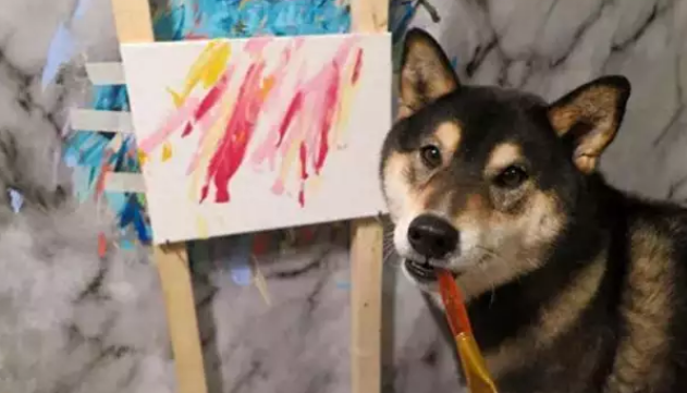 柴犬靠“卖画”为生,为主人赚了3万多,连狗都比我有才华