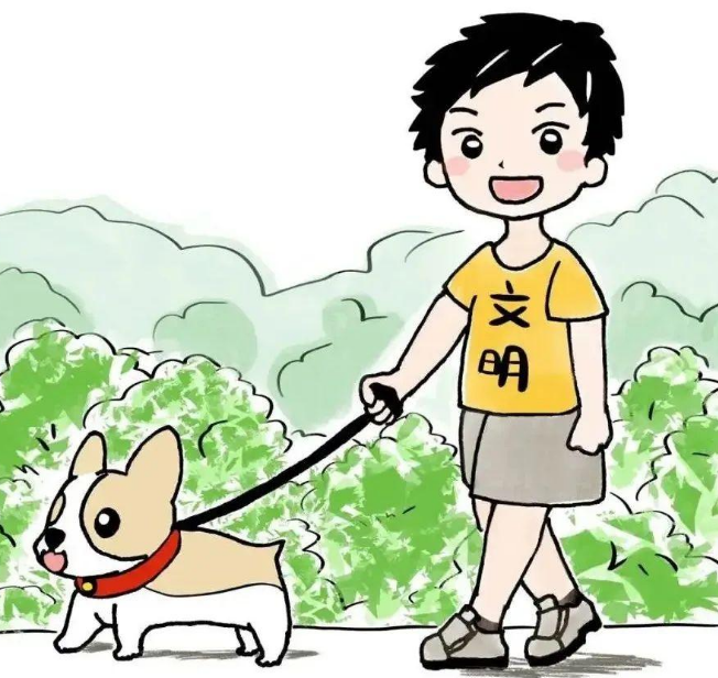 多地连发“毒狗”事件,“以暴制暴”?检察官郑重提醒