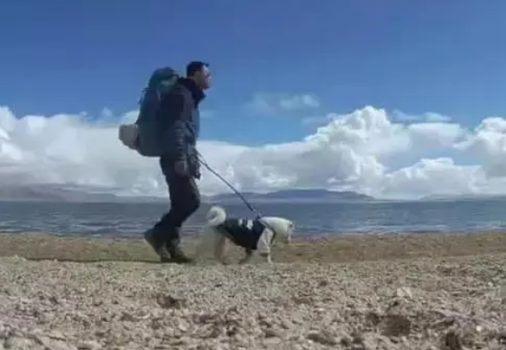 暖心!流浪狗“赖”上背包客,一人一狗徒步5千多公里