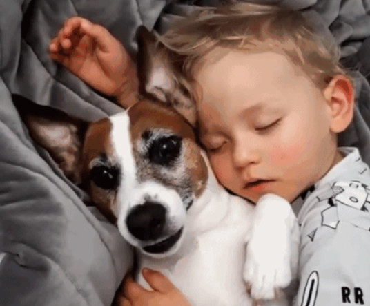 小主人搂着狗狗入睡,狗狗醒来害怕惊动小主人,一动不动好温暖