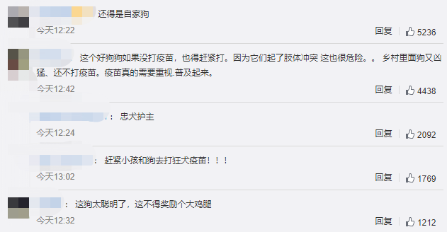 疯狗扑咬幼童,家犬冲上前将其赶跑,犬主:养了7年很有灵性