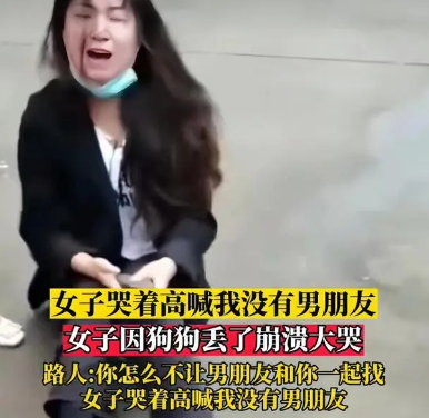 女孩丢了宠物狗,坐在大街上崩溃大哭