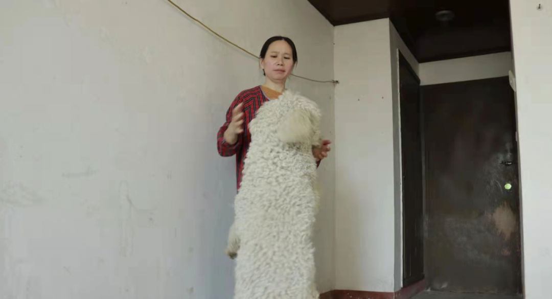 疫情当下,这个“傻”大姐,用十余载守护一方猫狗!