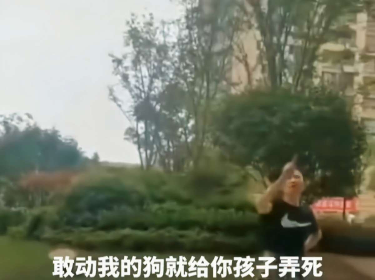 安徽:女子遛狗伤人,疯狂叫嚣:我有钱,敢动我狗就弄死你家孩子