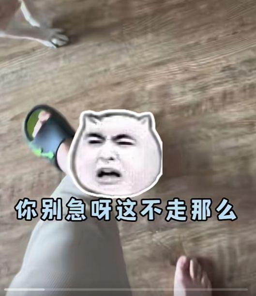 400W粉网红狗八一病逝,生前眼神真好刀