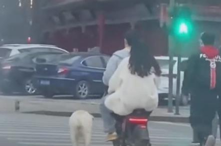 主人骑电动车溜大型犬,拍摄者:“感觉特别暖心”