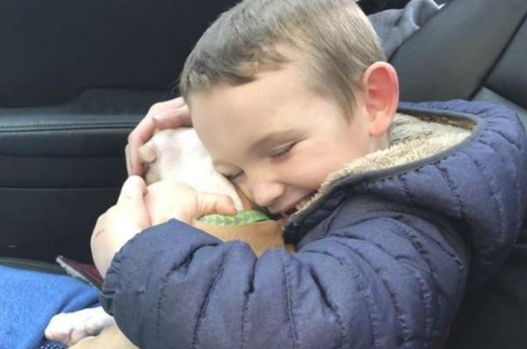 狗狗对小主人体贴入微的照料,狗狗离逝后,小孩劝导父母再养一只