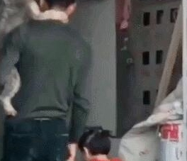男子肩上背着宠物狗狗,手上却牵着女儿,网友:不理解但莫名暖心
