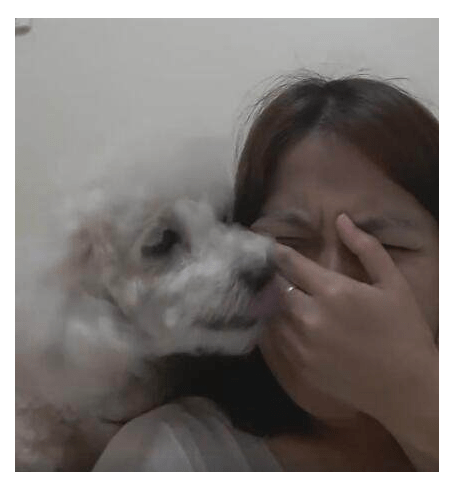 主人装作在狗狗面前伤心哭泣,狗狗做出的反应却让主人真暖哭