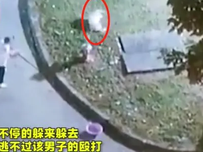 残忍!宠物狗被主人活活打死!气愤:见人就咬,连我都不放过