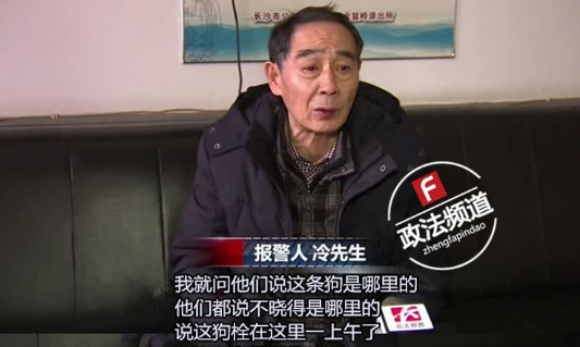 长沙芙蓉路咬人金毛被民警用木棒打死虐狗事件,官方辟谣事件全过程