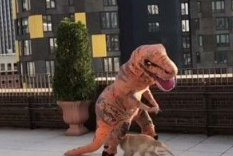 小黄金猎犬乱入镜头乱跑 主人演侏罗纪公园被搞砸