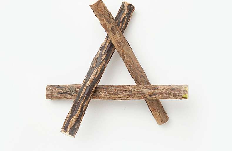 猫薄荷磨牙棒木天蓼10支装 (不包邮)