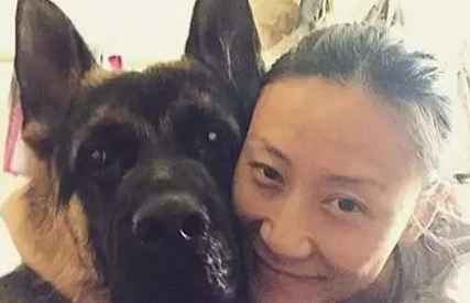 等待屠宰的大狼狗 被她从死亡边缘给救了回来