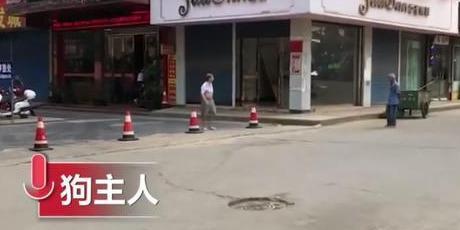 私自上街的宠物狗被活活打死:狗无牵绳一律捕杀