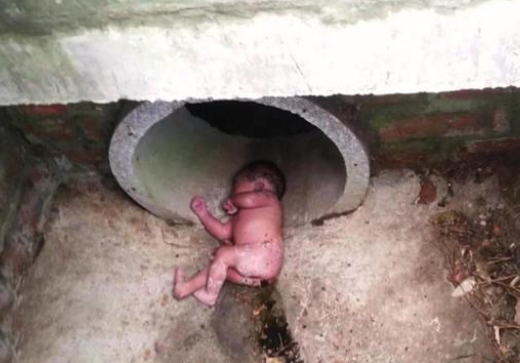 宠物狗拯救了新生儿的生命,之后奇迹接连不断的发生