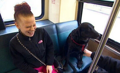 宠物犬嫌主人抽烟太慢 独自搭公车逛公园