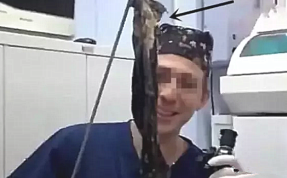 狗狗乱进食，透視发觉了胃里的脏东西，一看主人羞红了脸