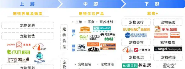 从“吸猫撸狗”到万亿赛道,“它经济”何以成资本市场新宠?