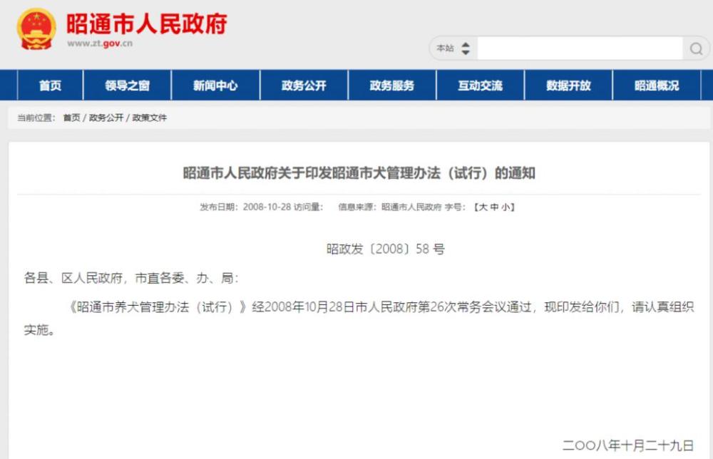 遛狗仅限凌晨,还要给狗戴口罩?云南昭通回应“最严遛狗令”