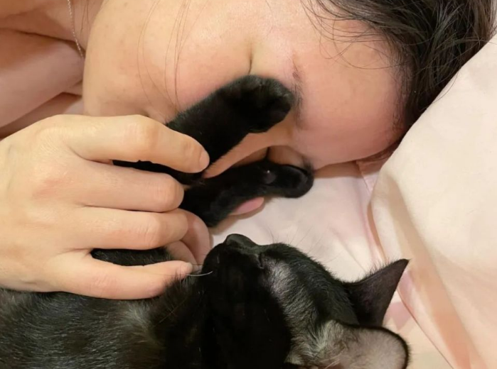 猫咪不满主人买狗狗眼罩,竟主动用猫爪捂眼!