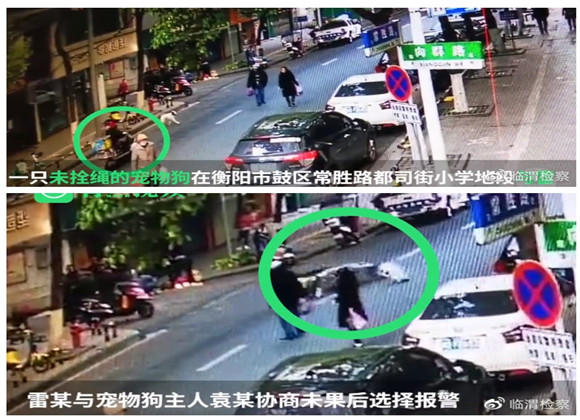 “爱狗人士”请速看,爱狗的“正确打开方式”
