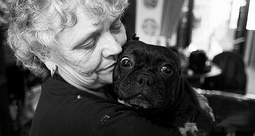 英夫妇每年开销3万英镑饲养41条宠物犬