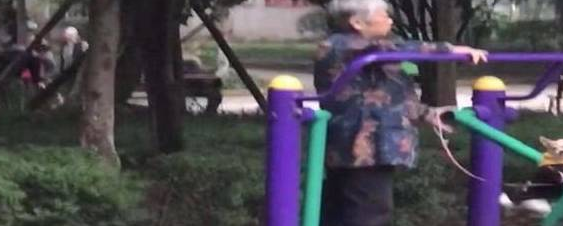 奶奶为狗子买了一架飞机,狗:这飞机不错,但怎么总在原地飞呢?