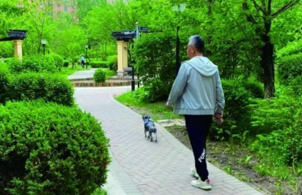 新养犬条例下月实施 再不牵好狗链子你要摊事了
