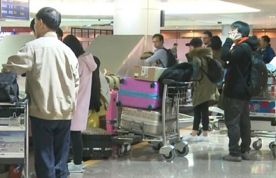 女从美国带狗入境遭拒 竟失控脱衣