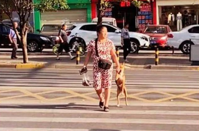 老远看见大妈拎着狗,以为又是虐待,走近一看,却默默捂嘴了