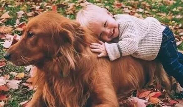 孩子与狗狗真的不能共存吗?看看国内外专家是怎么说的!