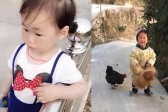 主人参加高考，把狗子交给乡下奶奶养