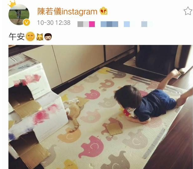不老男神林志颖儿子kimi趴在地上和宠物猫对视,人比猫萌!
