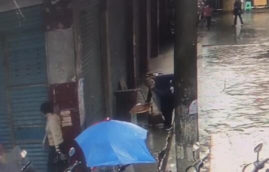 “在渠县当街打死金毛犬”事件调查:社区寻主人未果按流浪狗处理、狗主人发声