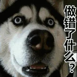 分手就弃养?狗狗做错了什么!我劝这类人还是别害狗了吧!