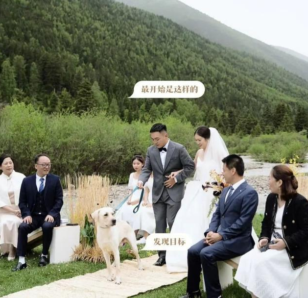 “狗在婚礼上抢走了我老公”,网友婚礼现场发生意外,笑翻了