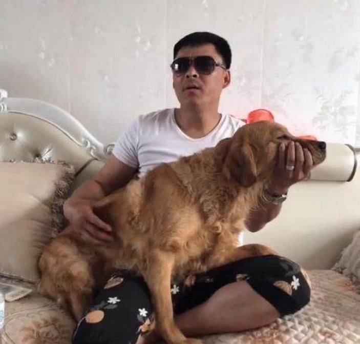 狗狗聪明乖巧善解人意,可惜遇上二货主人,这表情简直绝了