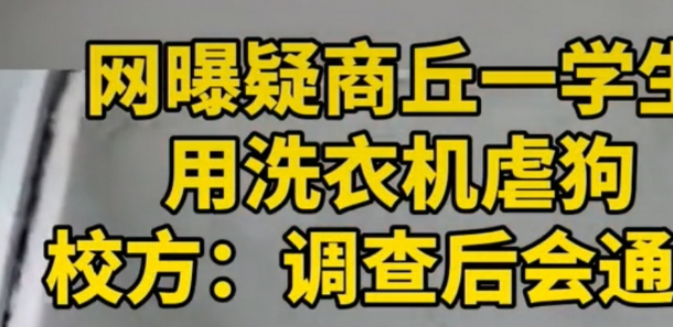 虐狗惨案频发,社会:我得了大病