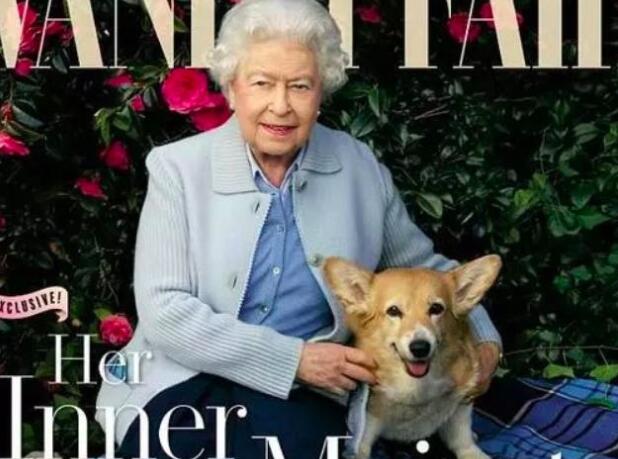 农村小伙2000元买对柯基狗，是不是很可爱！养不了免费送给大家！