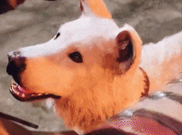 看到主人在游戏里撸狗，狗子气炸直接开骂，这是连电子醋都吃？